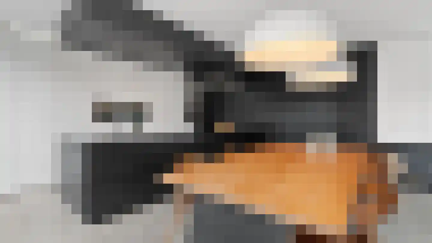 Klein Belgie 2 Vijfhuizen thumbnail 44