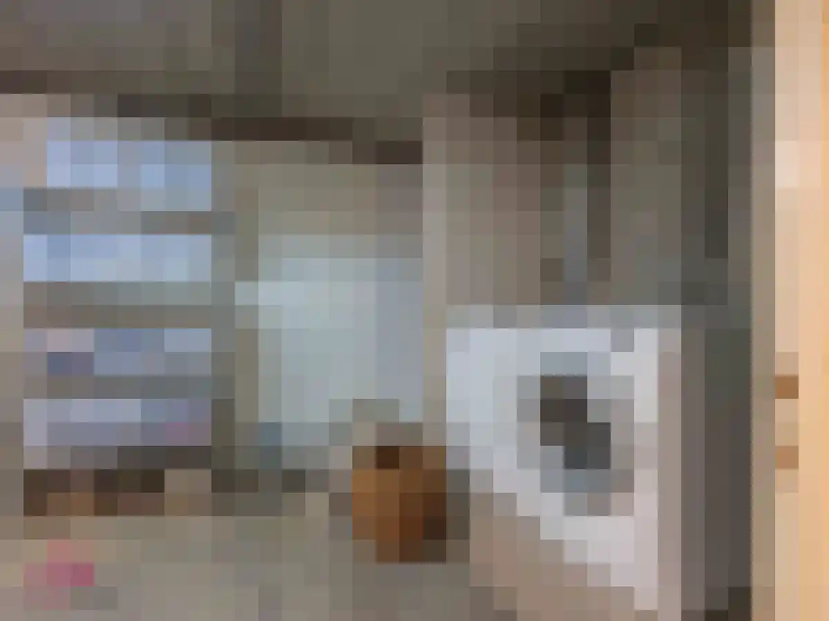 Klein Belgie 2 Vijfhuizen thumbnail 49