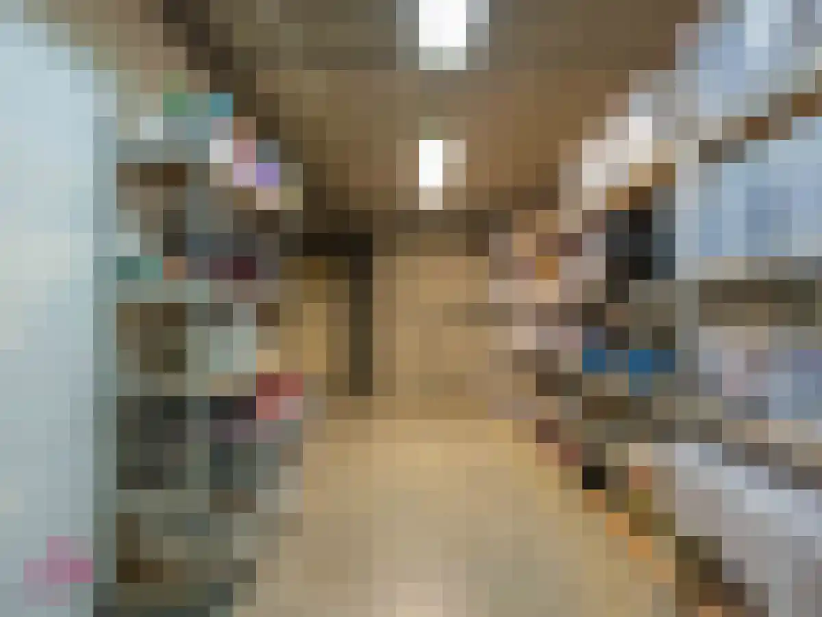 Klein Belgie 2 Vijfhuizen thumbnail 50
