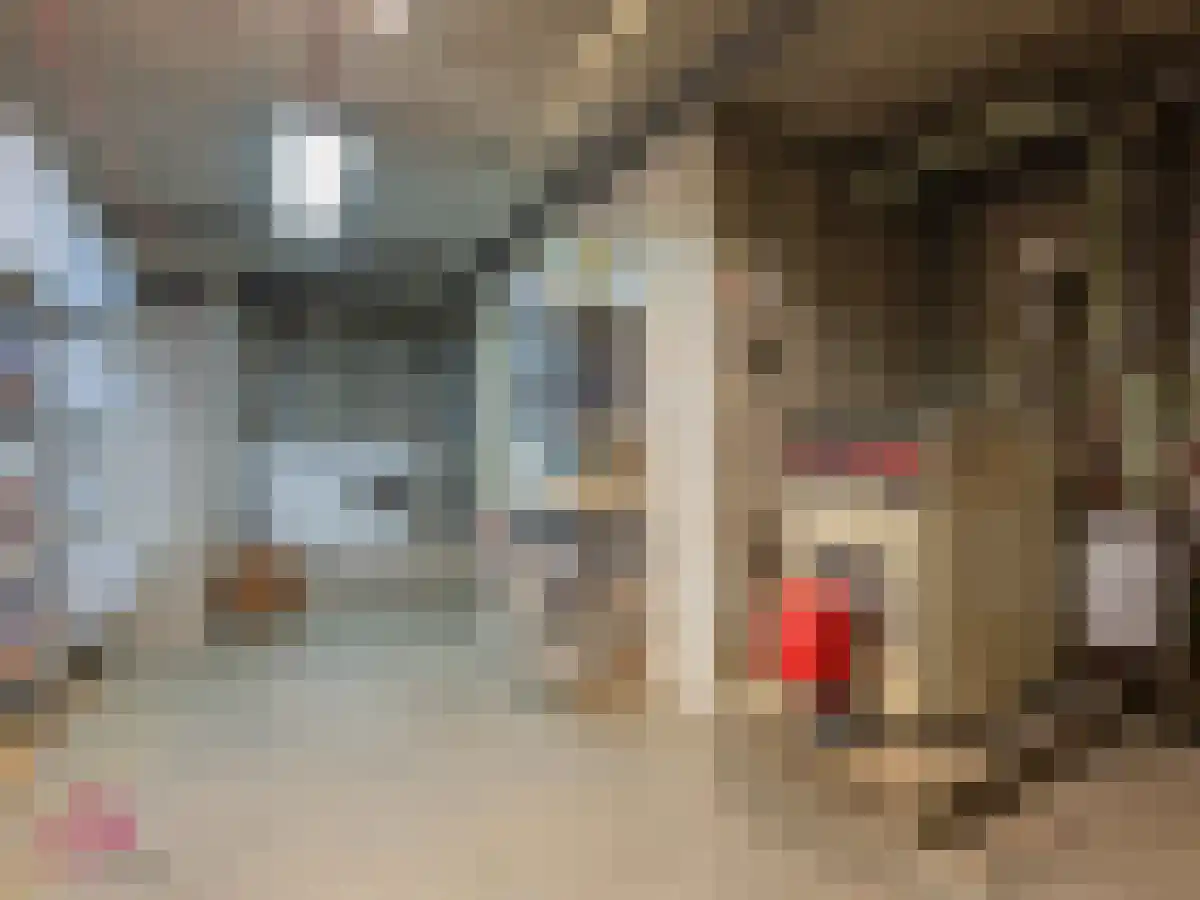 Klein Belgie 2 Vijfhuizen thumbnail 51