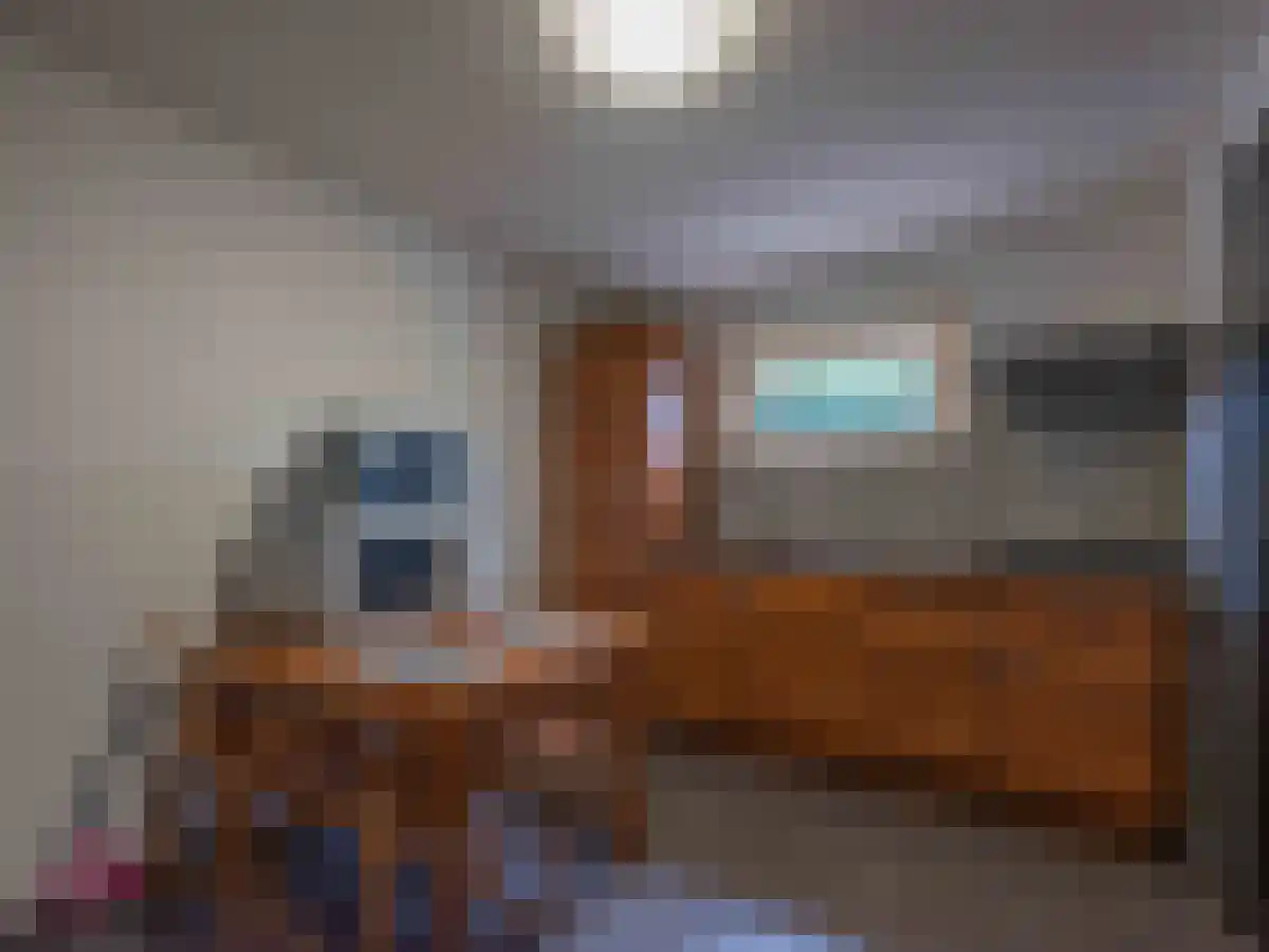 Klein Belgie 2 Vijfhuizen thumbnail 79