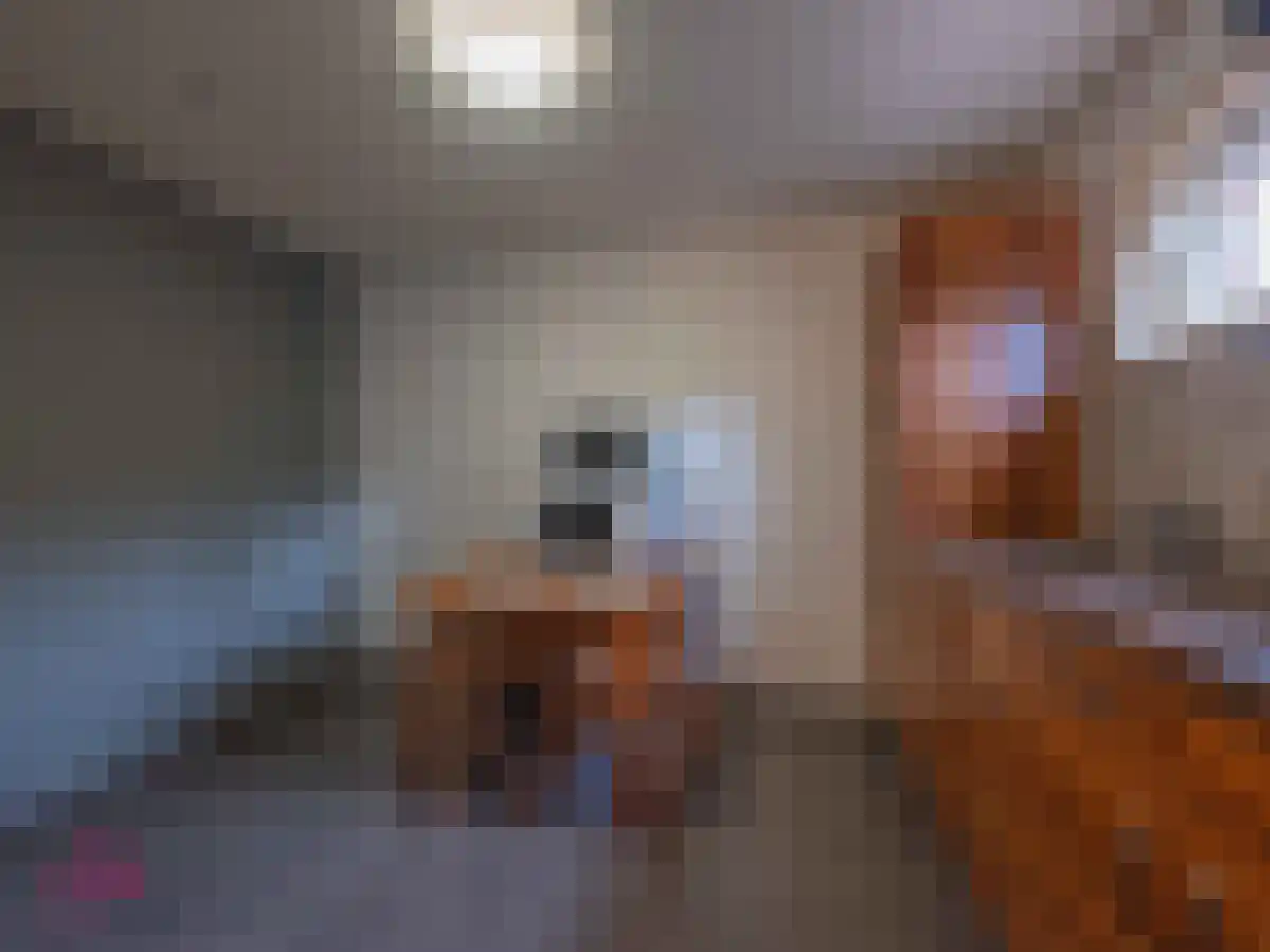 Klein Belgie 2 Vijfhuizen thumbnail 80