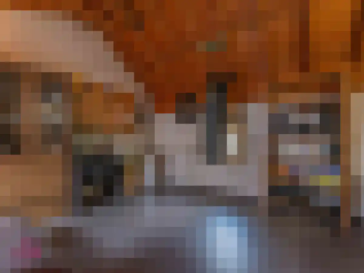 Klein Belgie 2 Vijfhuizen thumbnail 88