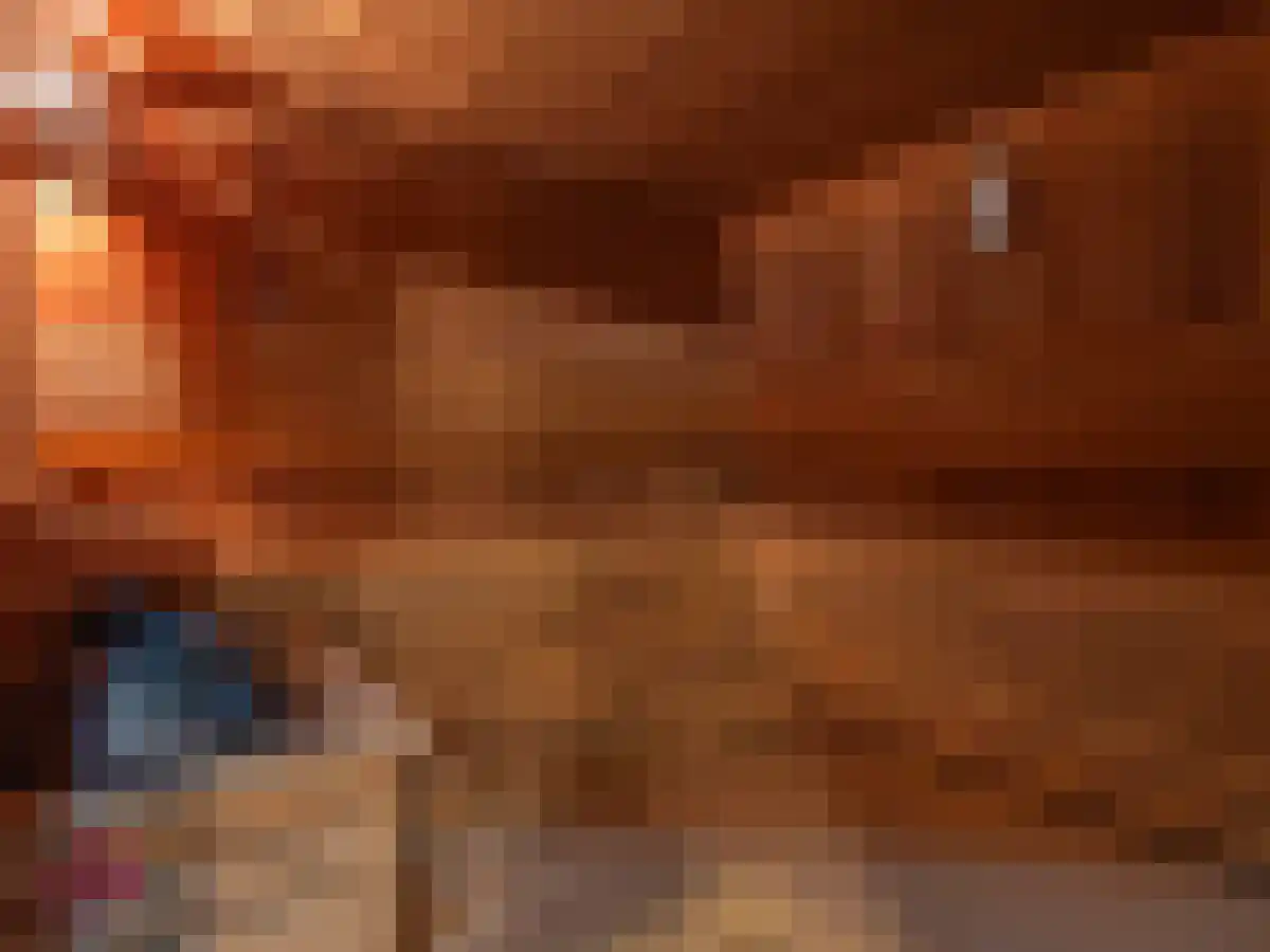 Klein Belgie 2 Vijfhuizen thumbnail 96