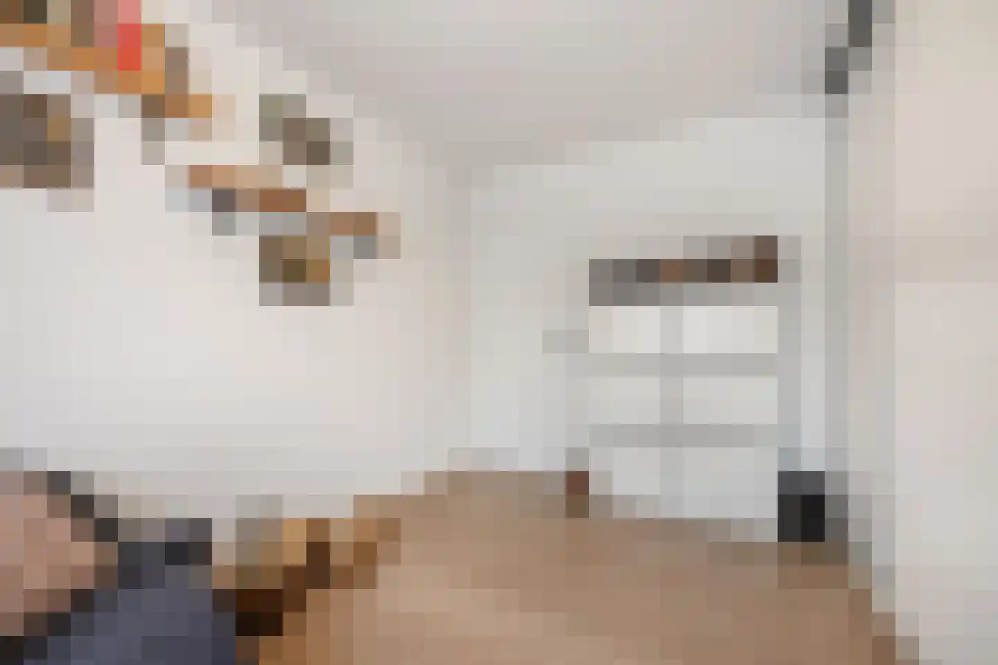 Klein Belgie 20 Vijfhuizen thumbnail 13