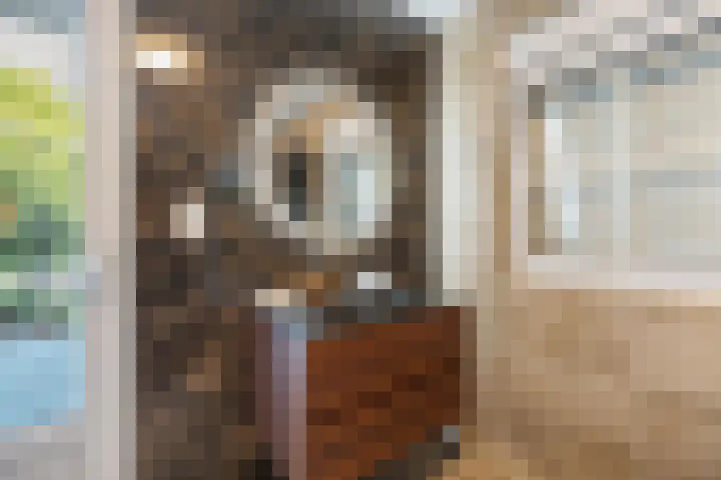 Klein Belgie 20 Vijfhuizen thumbnail 14