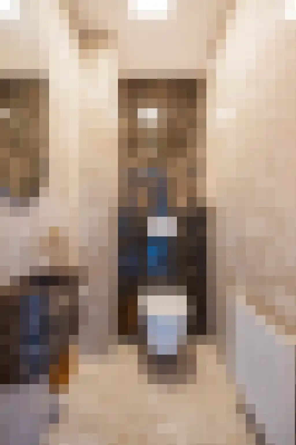 Klein Belgie 20 Vijfhuizen thumbnail 16