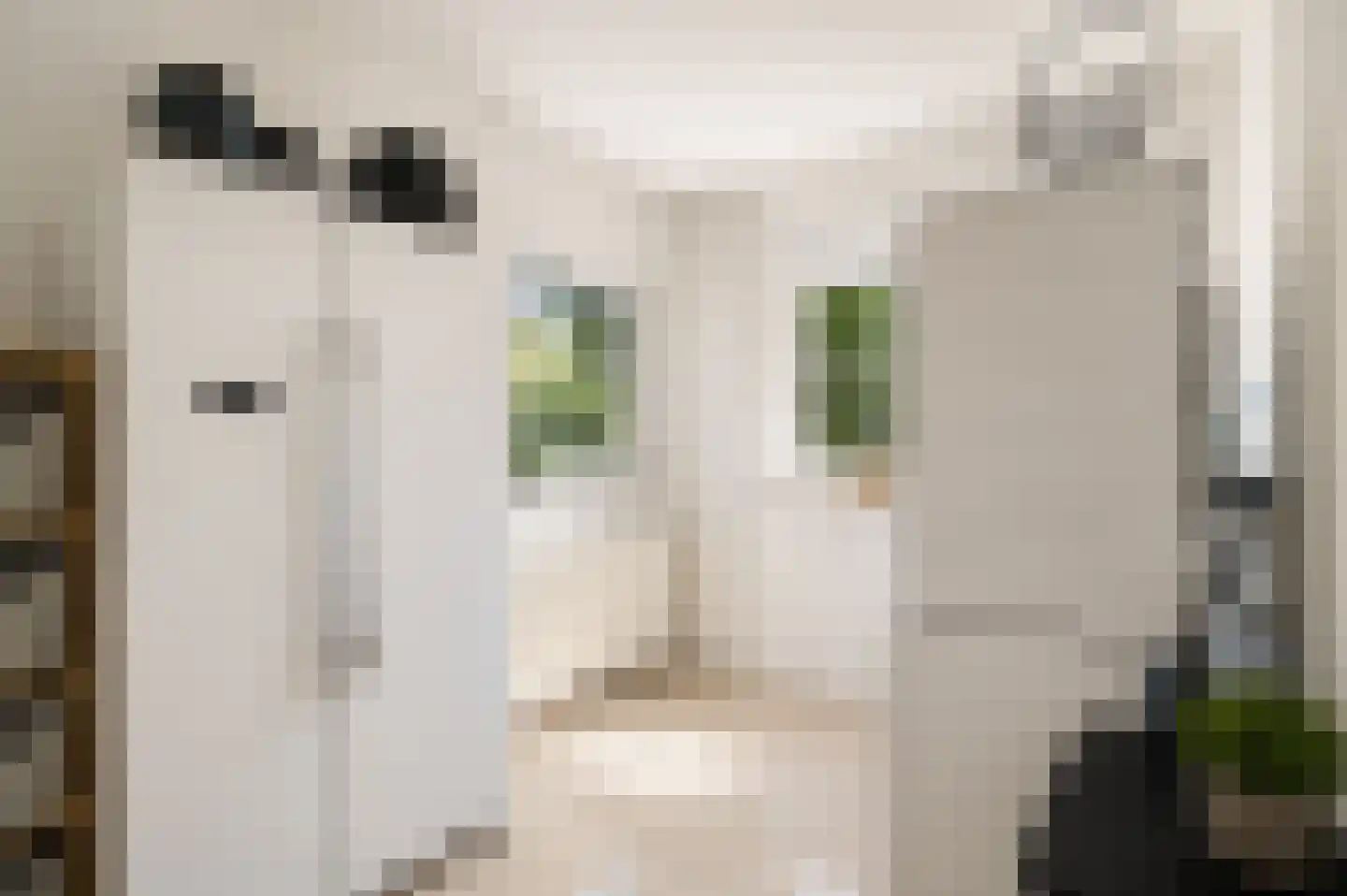 Klein Belgie 20 Vijfhuizen thumbnail 19