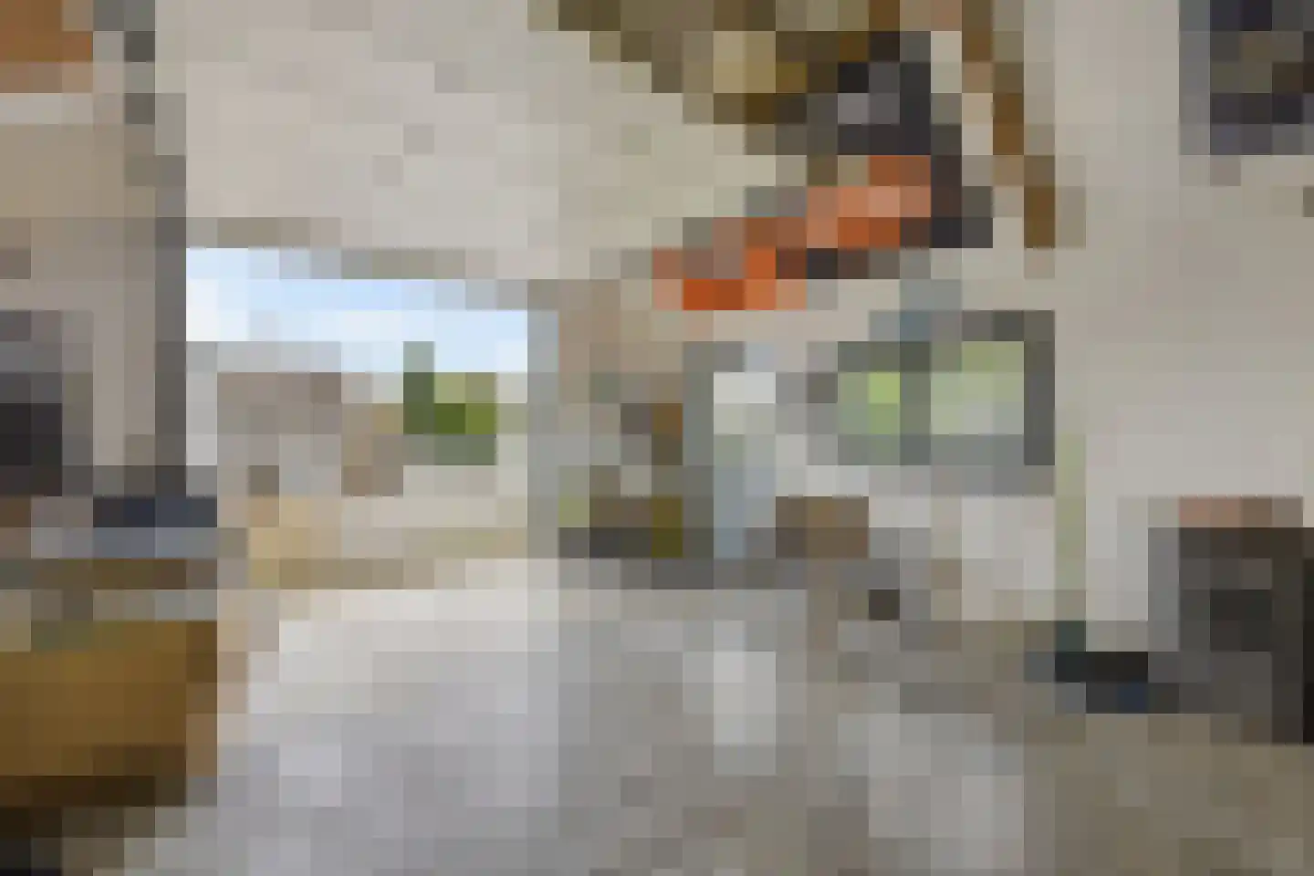 Klein Belgie 20 Vijfhuizen thumbnail 23