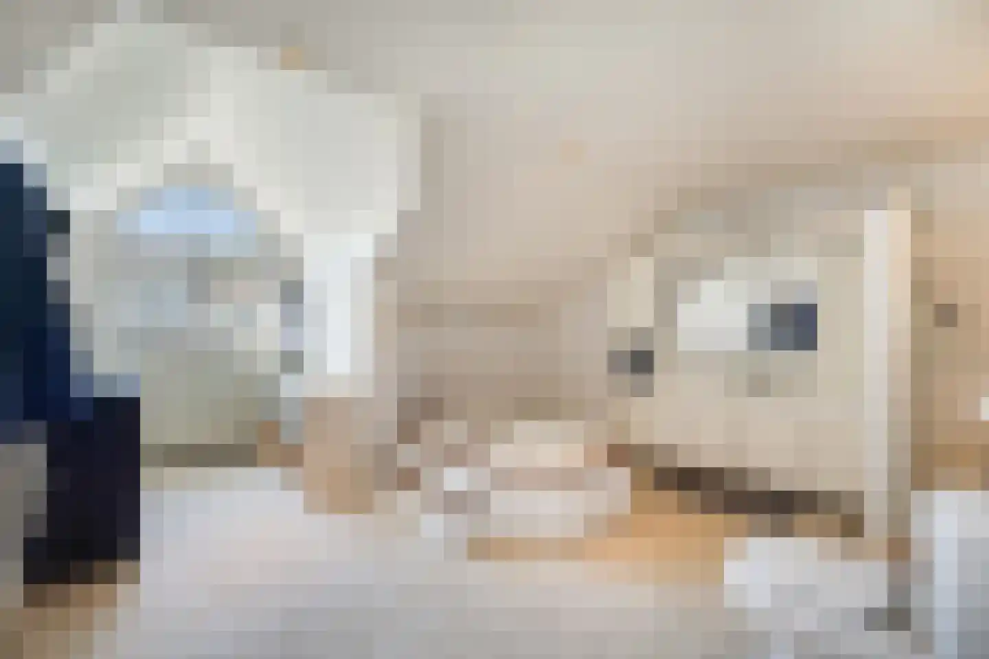 Klein Belgie 20 Vijfhuizen thumbnail 24