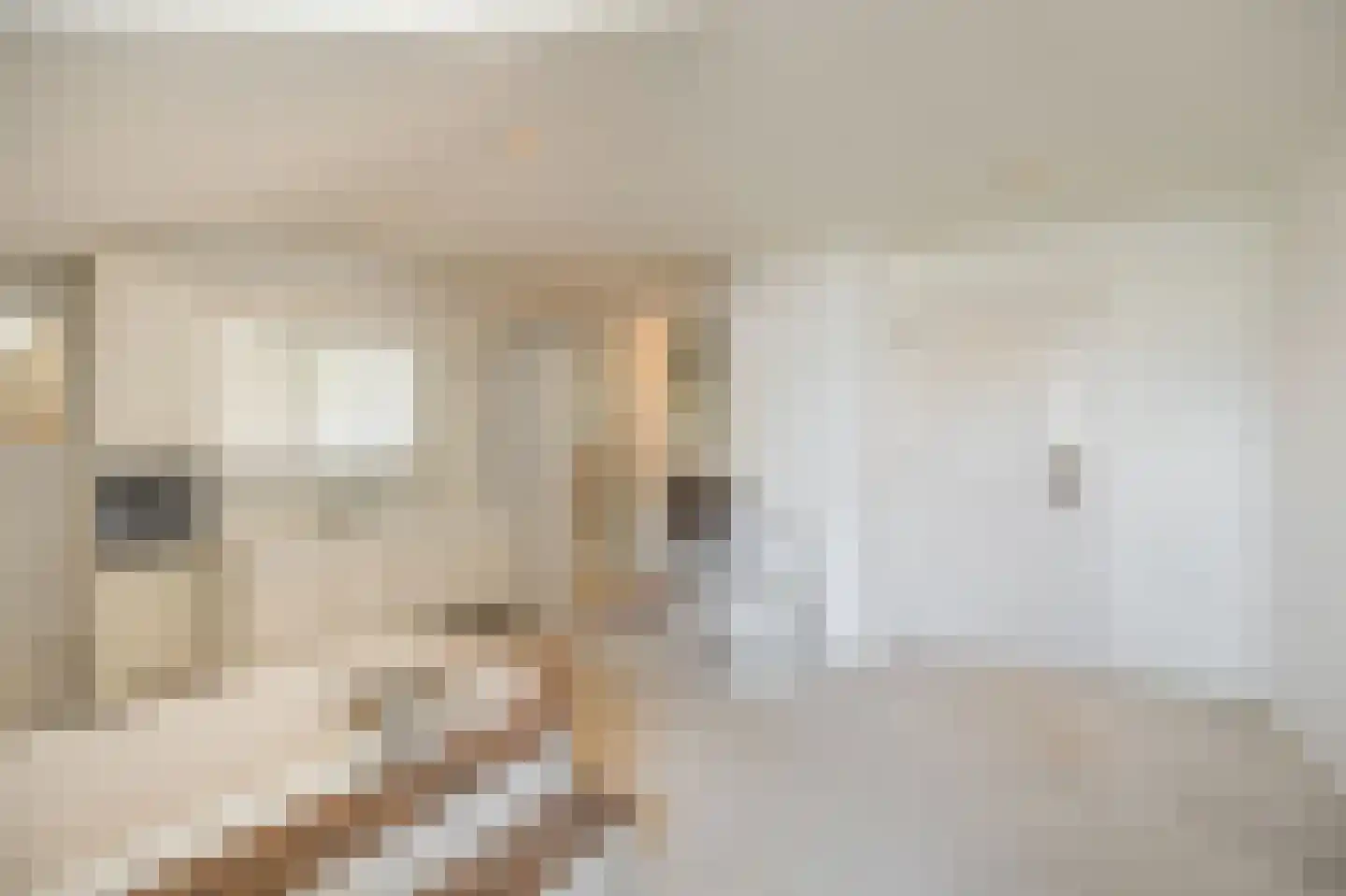 Klein Belgie 20 Vijfhuizen thumbnail 26