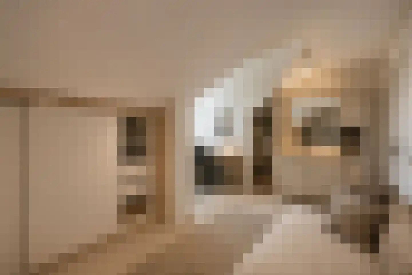 Klein Belgie 20 Vijfhuizen thumbnail 28