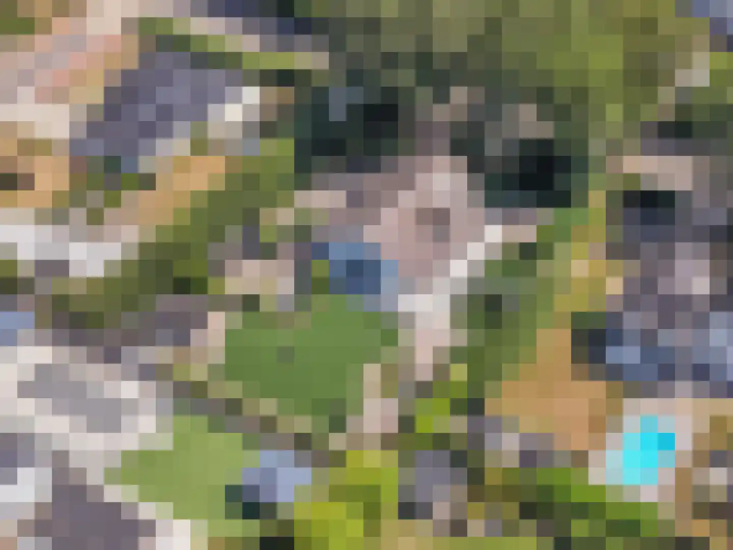 Klein Belgie 20 Vijfhuizen thumbnail 38