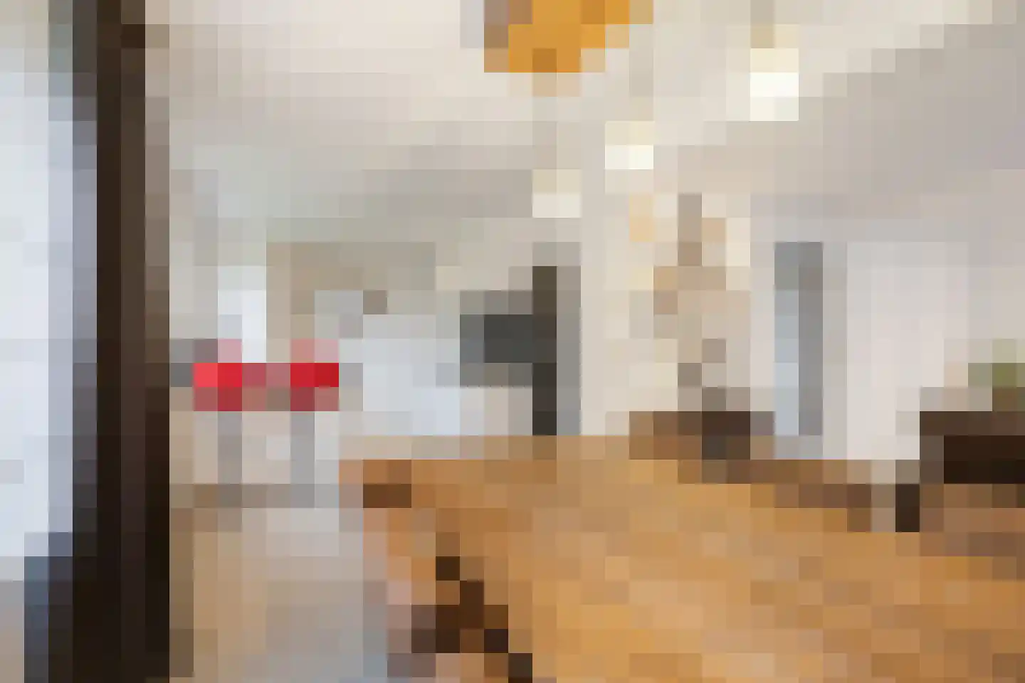 Klein Belgie 20 Vijfhuizen thumbnail 5