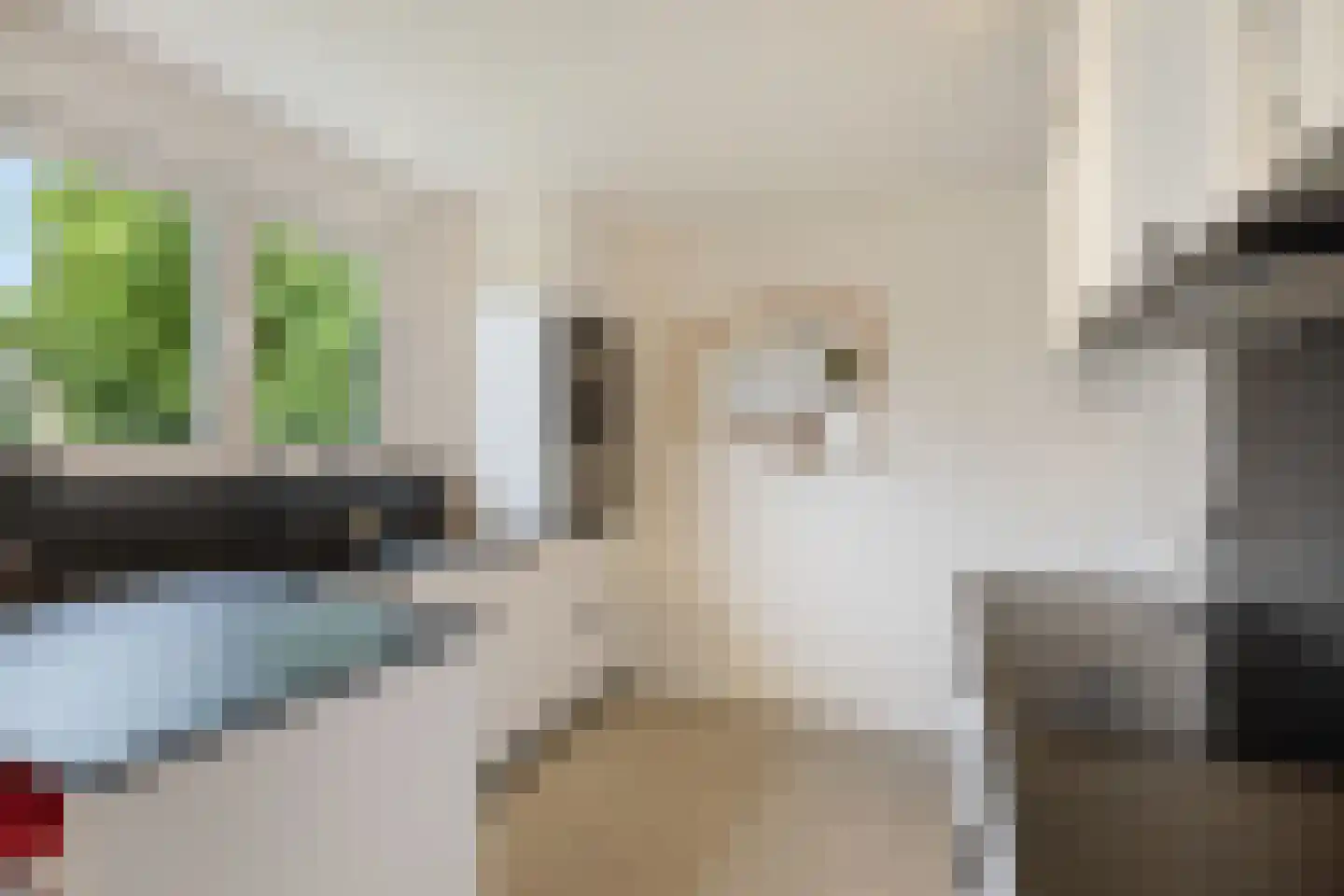 Klein Belgie 20 Vijfhuizen thumbnail 7