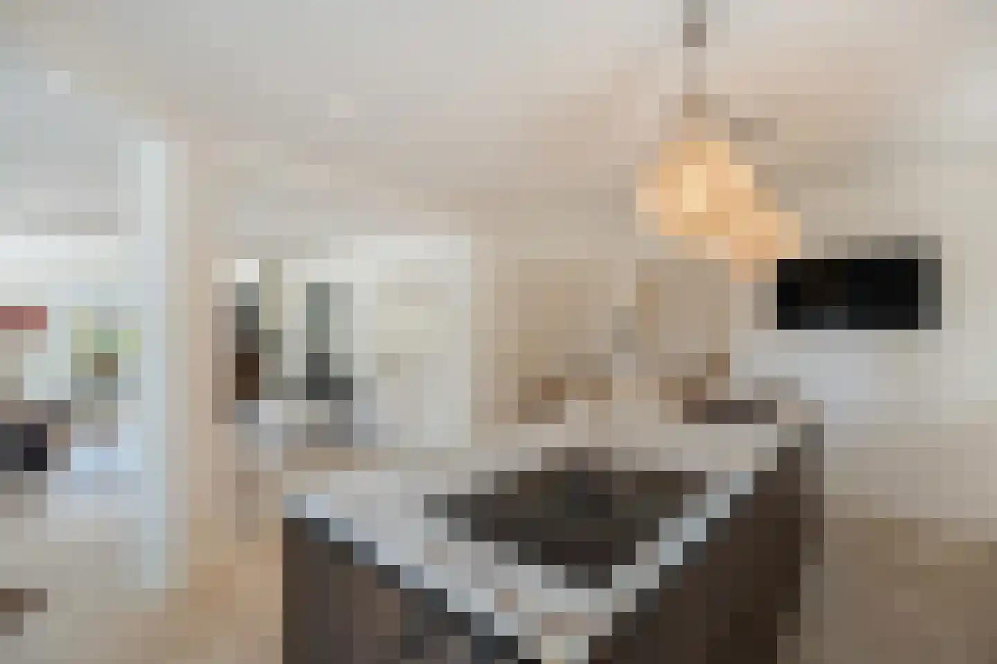 Klein Belgie 20 Vijfhuizen thumbnail 8