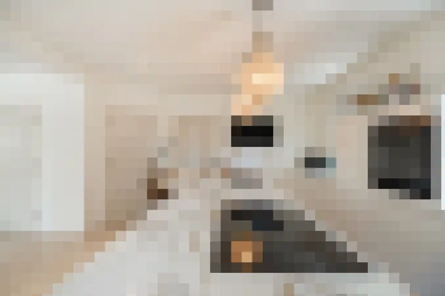 Klein Belgie 20 Vijfhuizen thumbnail 9