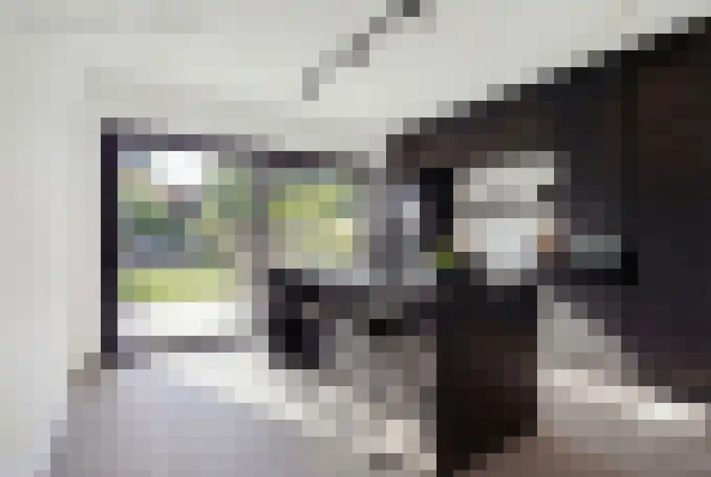 Klein Belgie 21 Vijfhuizen thumbnail 11