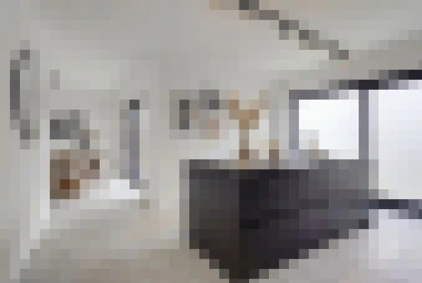 Klein Belgie 21 Vijfhuizen thumbnail 13