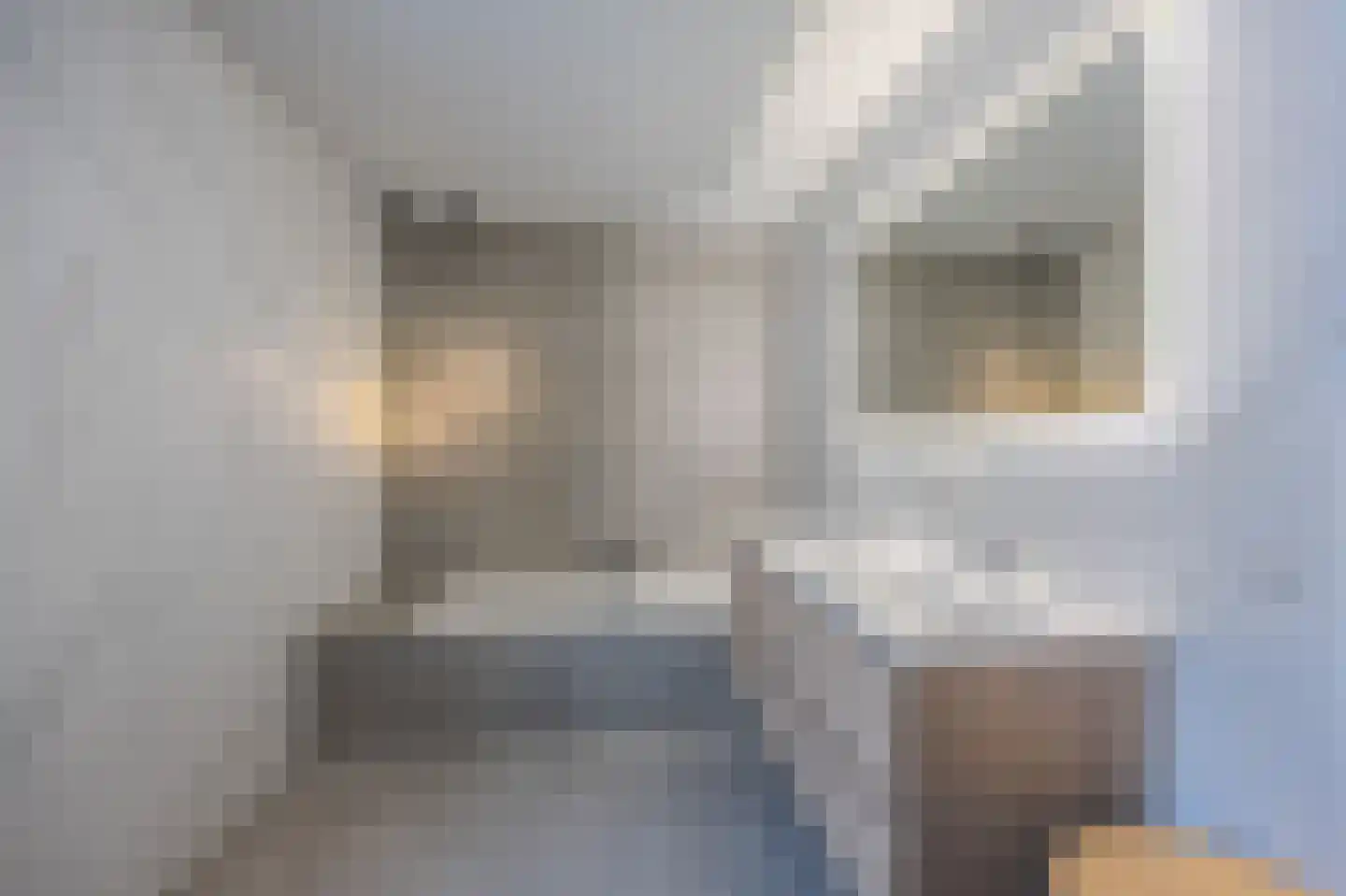 Klein Belgie 21 Vijfhuizen thumbnail 15