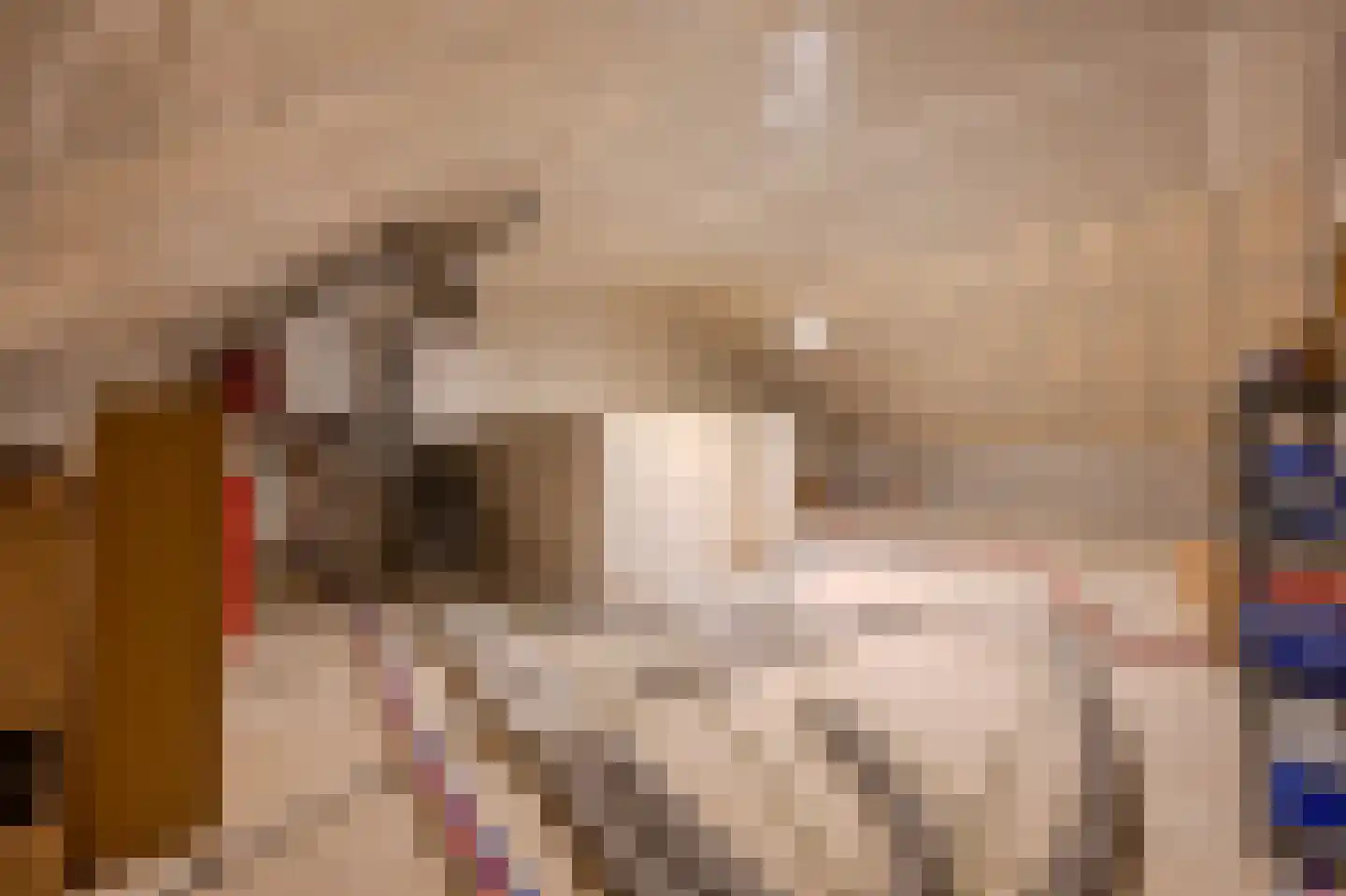 Klein Belgie 21 Vijfhuizen thumbnail 19