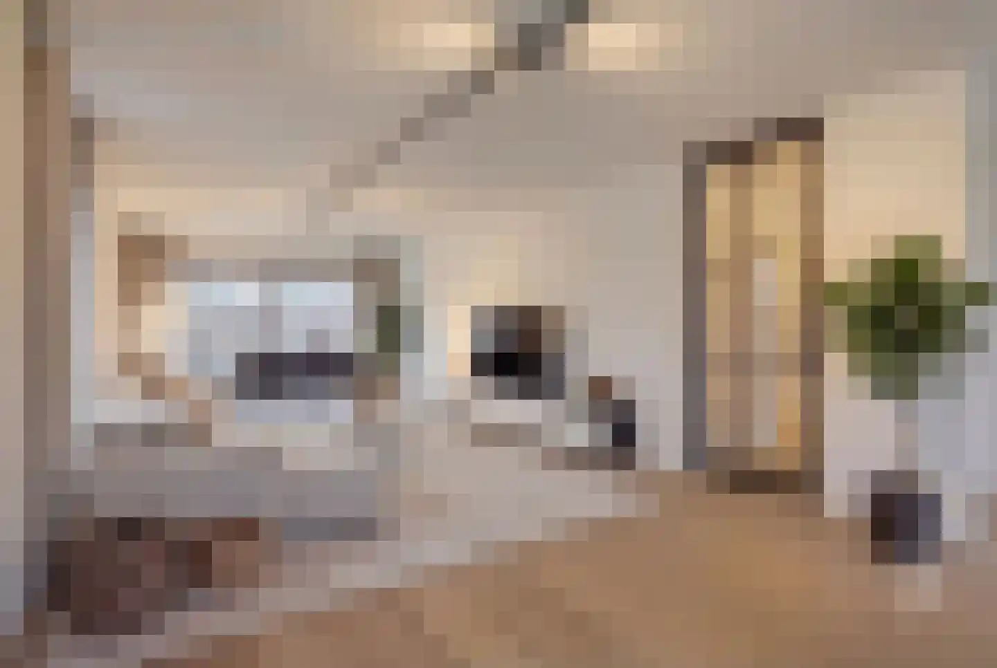 Klein Belgie 21 Vijfhuizen thumbnail 7