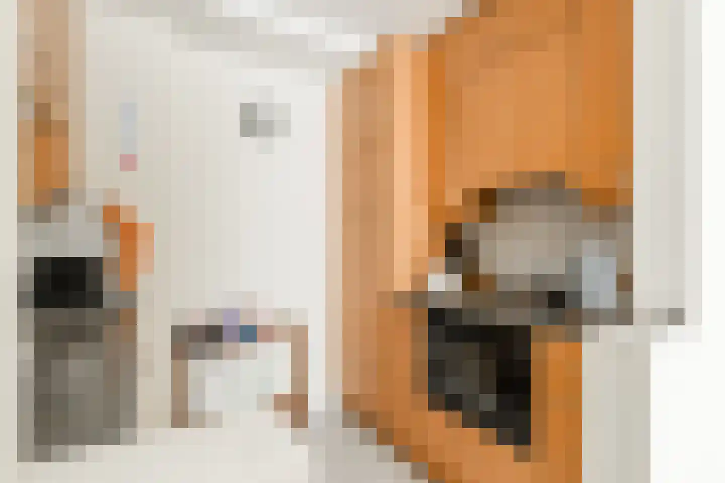 Klein Belgie 210 4 Vijfhuizen thumbnail 12