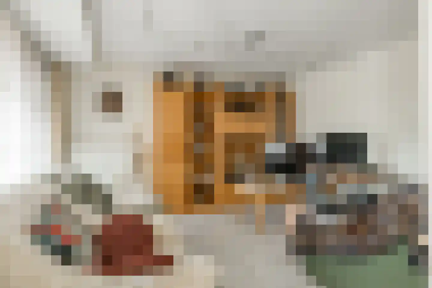 Klein Belgie 210 4 Vijfhuizen thumbnail 5