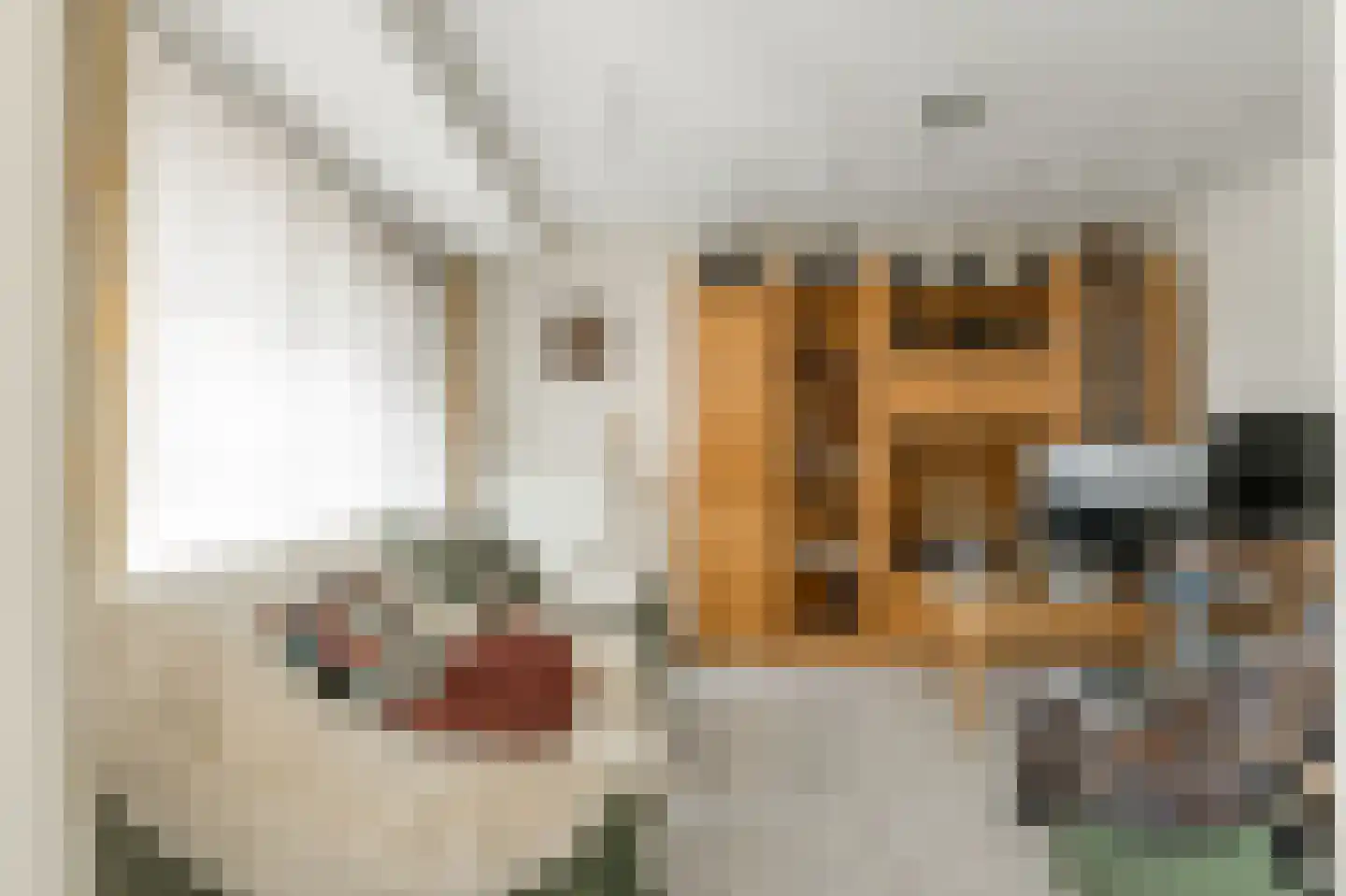 Klein Belgie 210 4 Vijfhuizen thumbnail 6