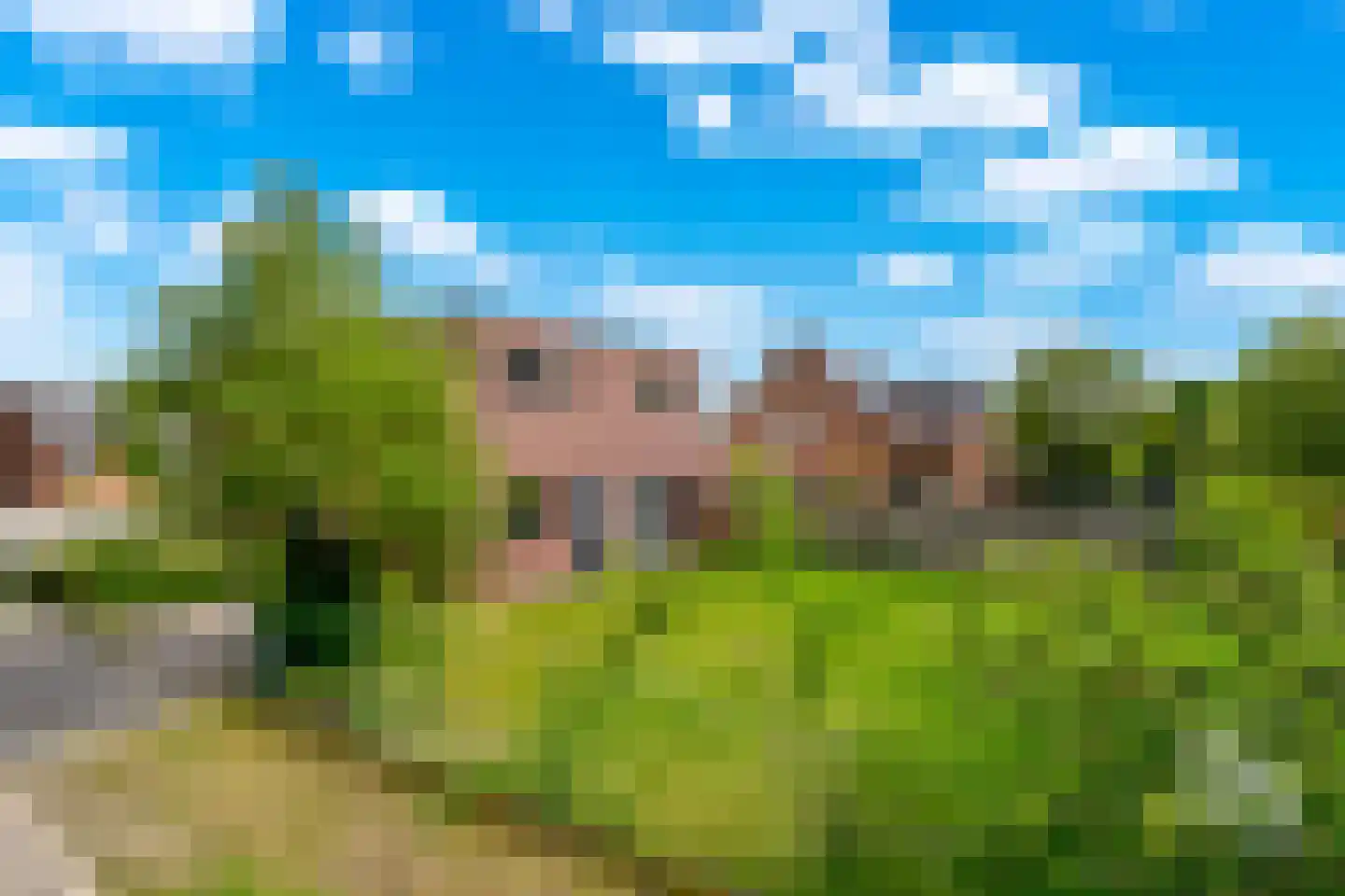 Klein Belgie 22 Vijfhuizen thumbnail 18
