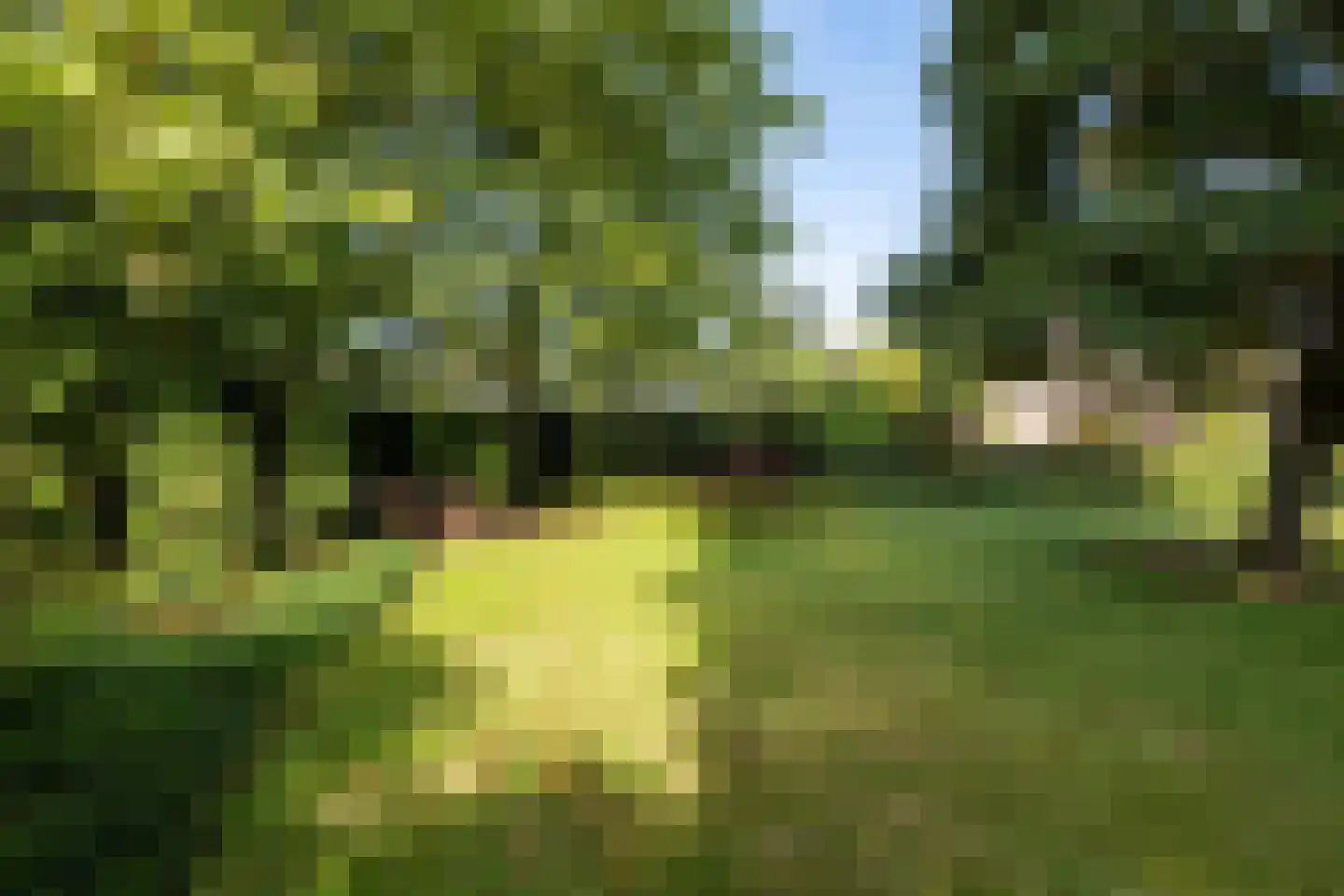 Klein Belgie 22 Vijfhuizen thumbnail 29