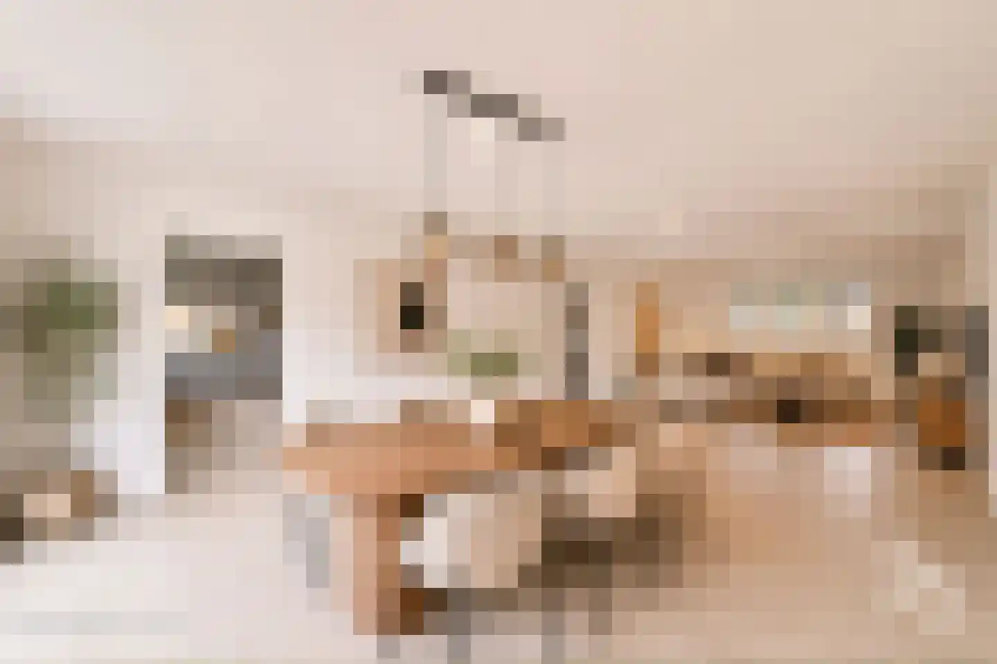 Klein Belgie 22 Vijfhuizen thumbnail 4