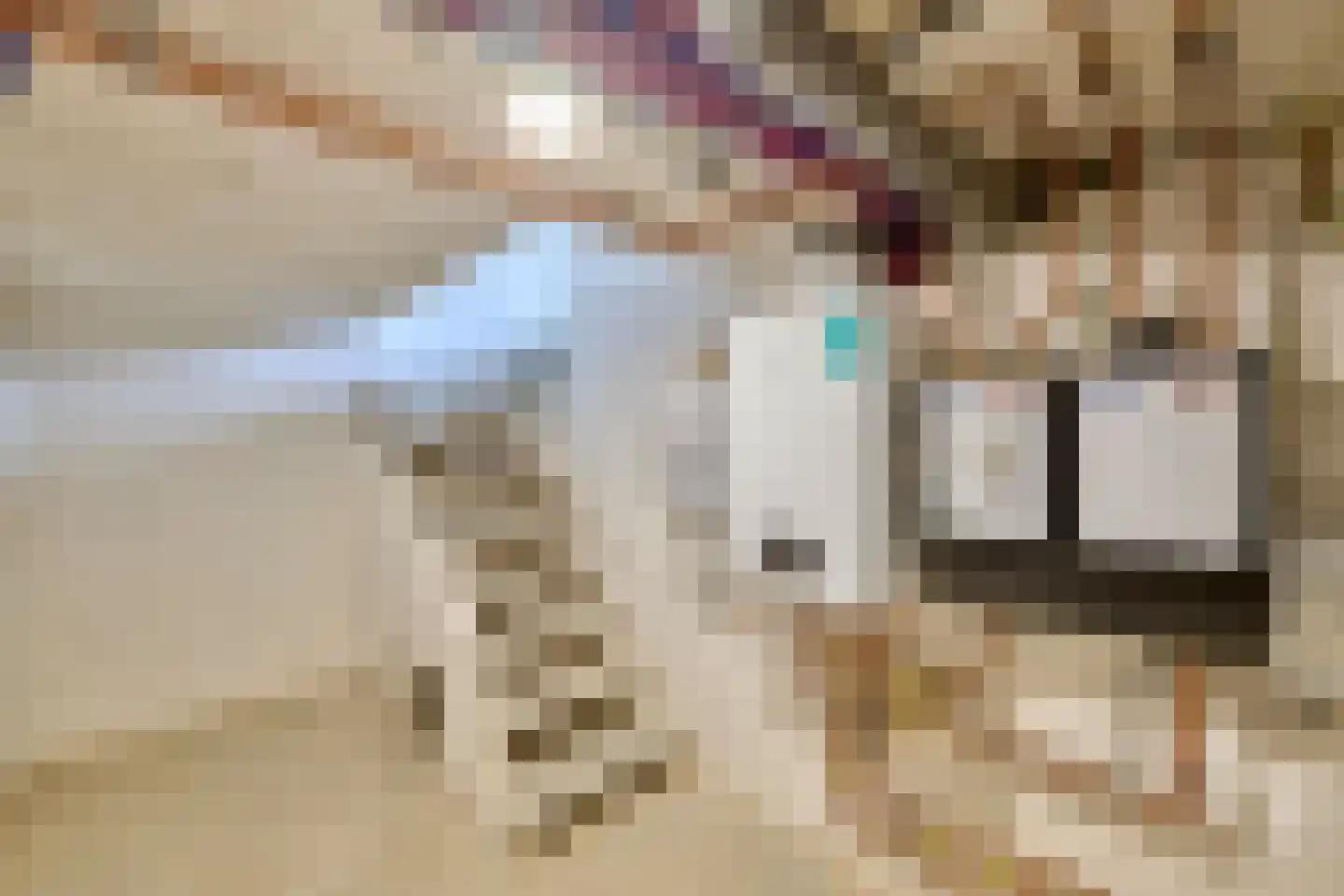 Klein Belgie 22 Vijfhuizen thumbnail 8
