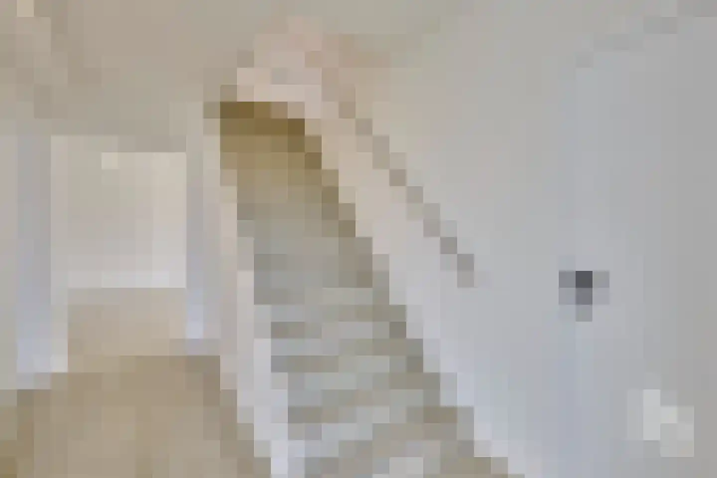 Klein Belgie 22 Vijfhuizen thumbnail 9
