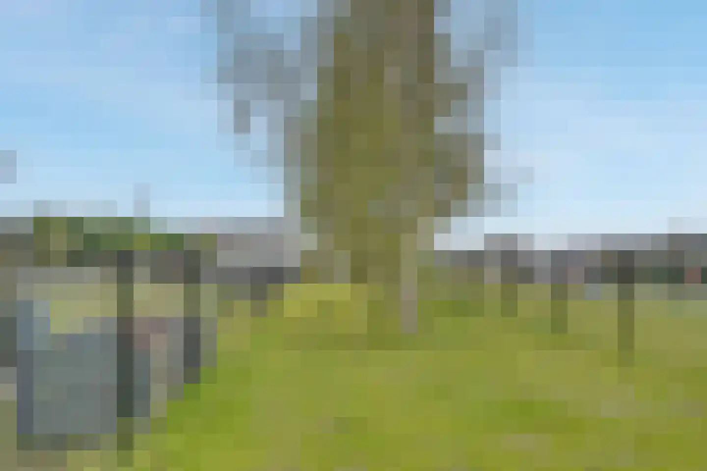 Klein Belgie 23 C Vijfhuizen thumbnail 11