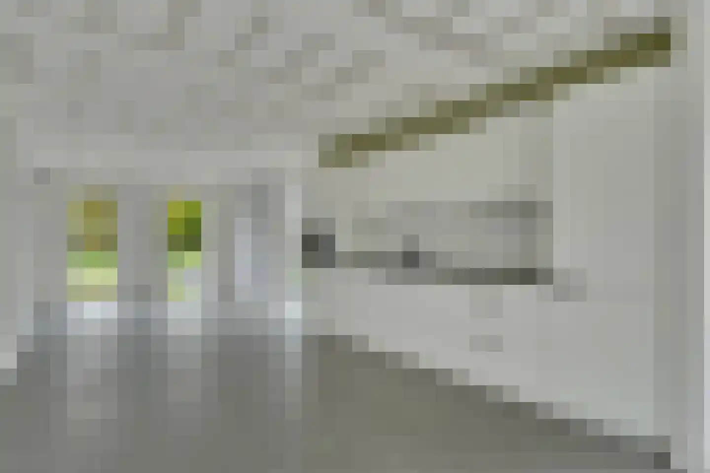 Klein Belgie 23 C Vijfhuizen thumbnail 6