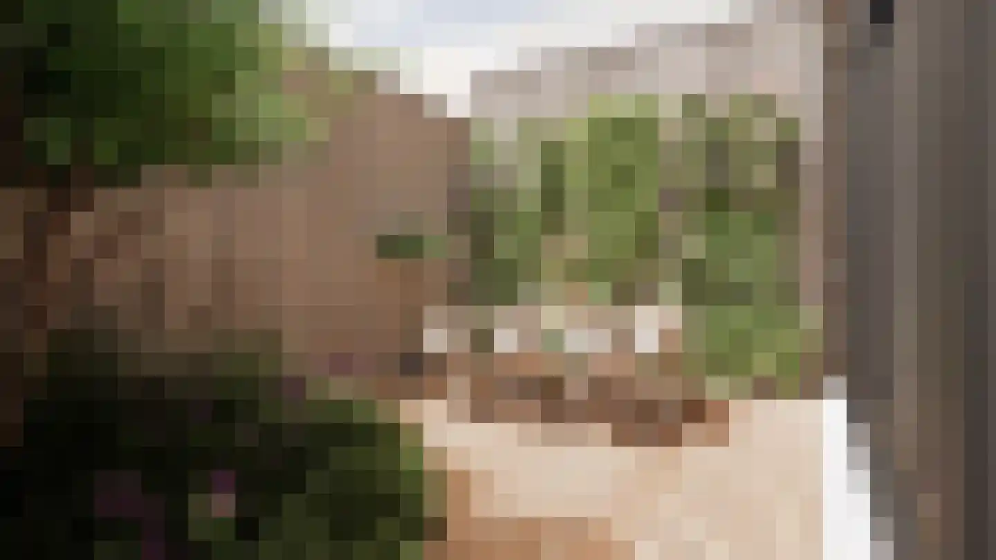 Klein Belgie 23 Vijfhuizen thumbnail 11