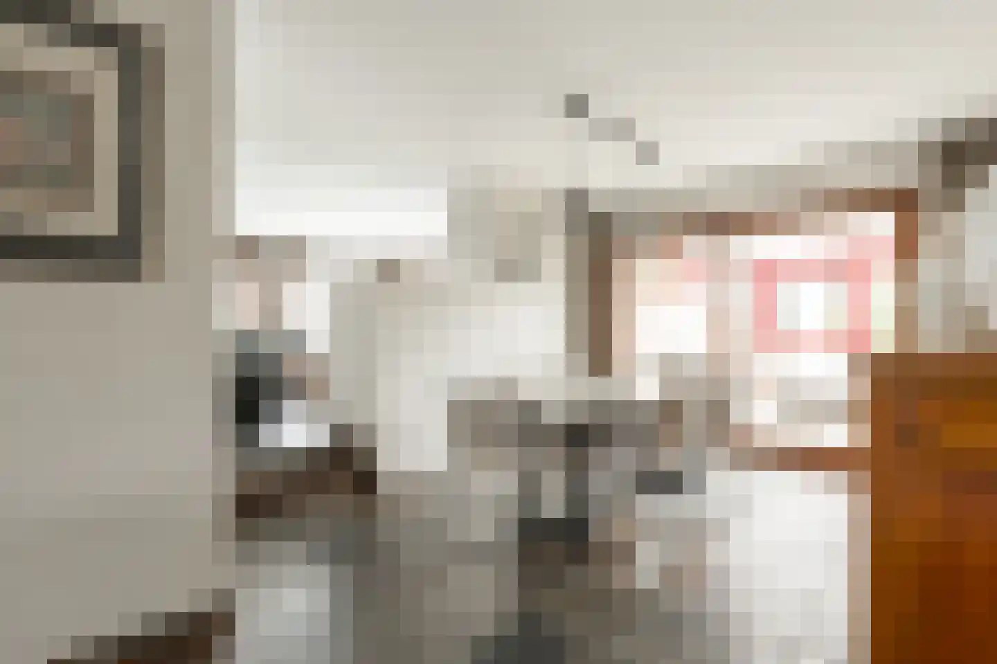 Klein Belgie 23 Vijfhuizen thumbnail 11