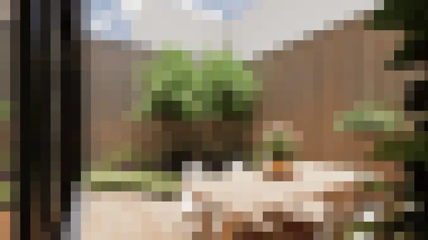 Klein Belgie 23 Vijfhuizen thumbnail 12
