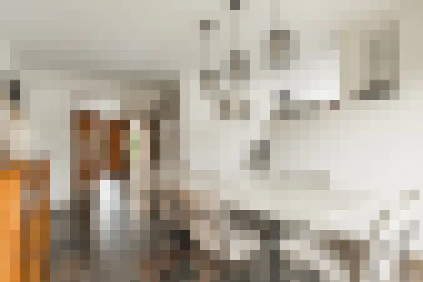 Klein Belgie 23 Vijfhuizen thumbnail 13