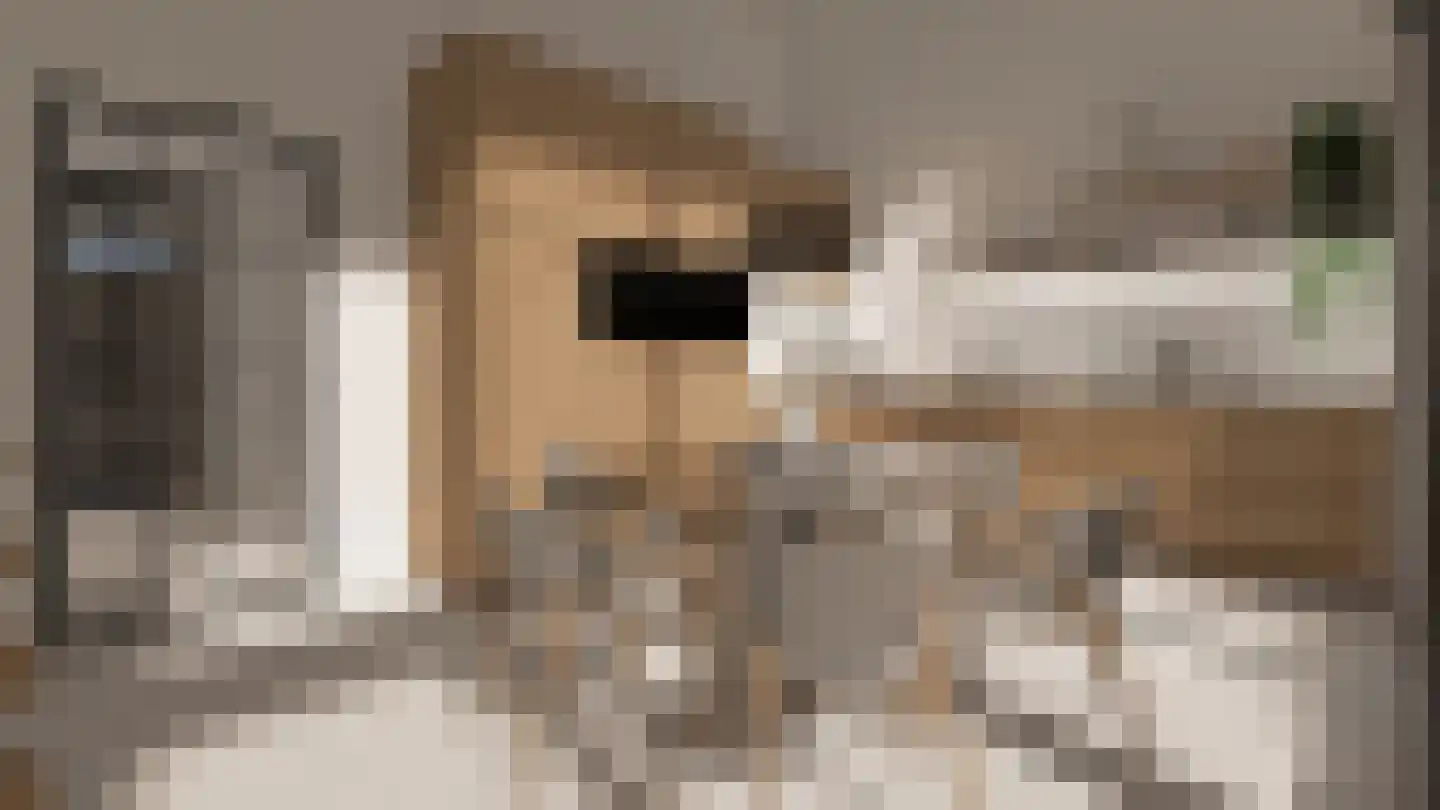 Klein Belgie 23 Vijfhuizen thumbnail 14