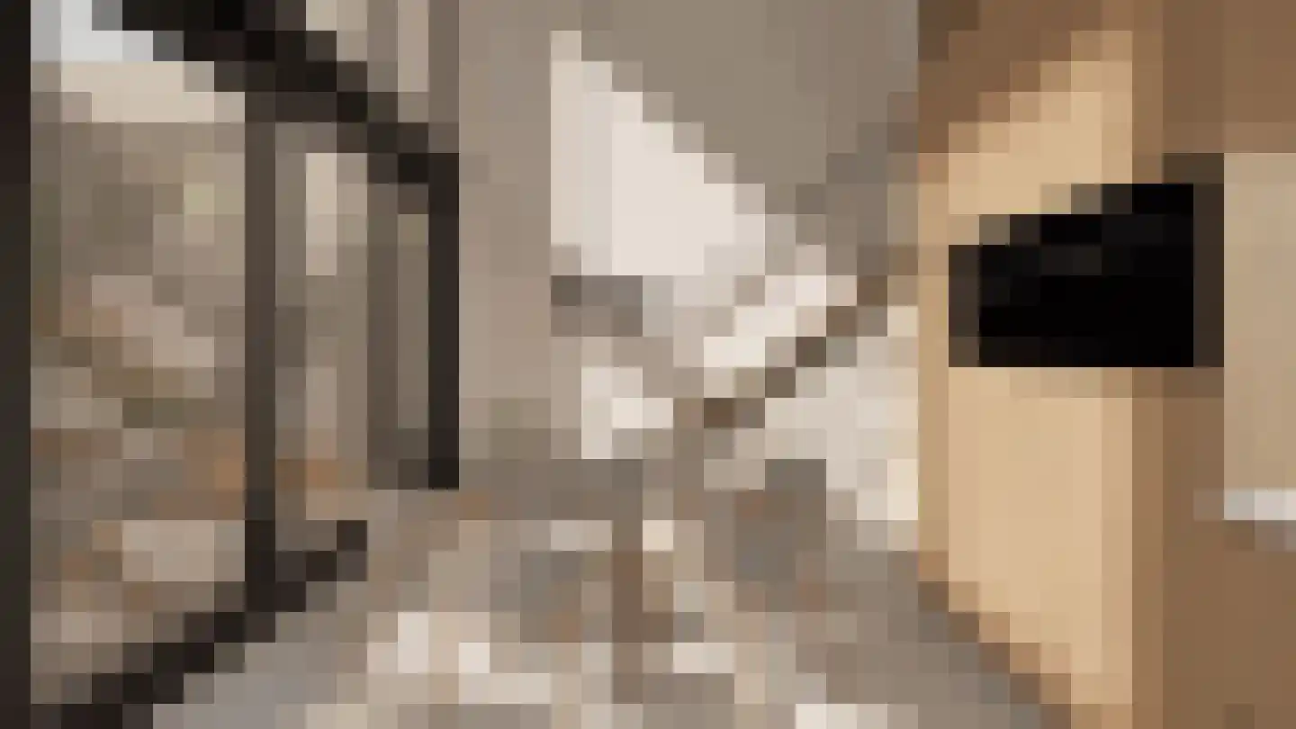 Klein Belgie 23 Vijfhuizen thumbnail 15