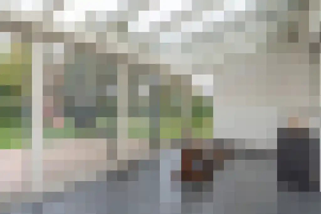 Klein Belgie 23 Vijfhuizen thumbnail 15