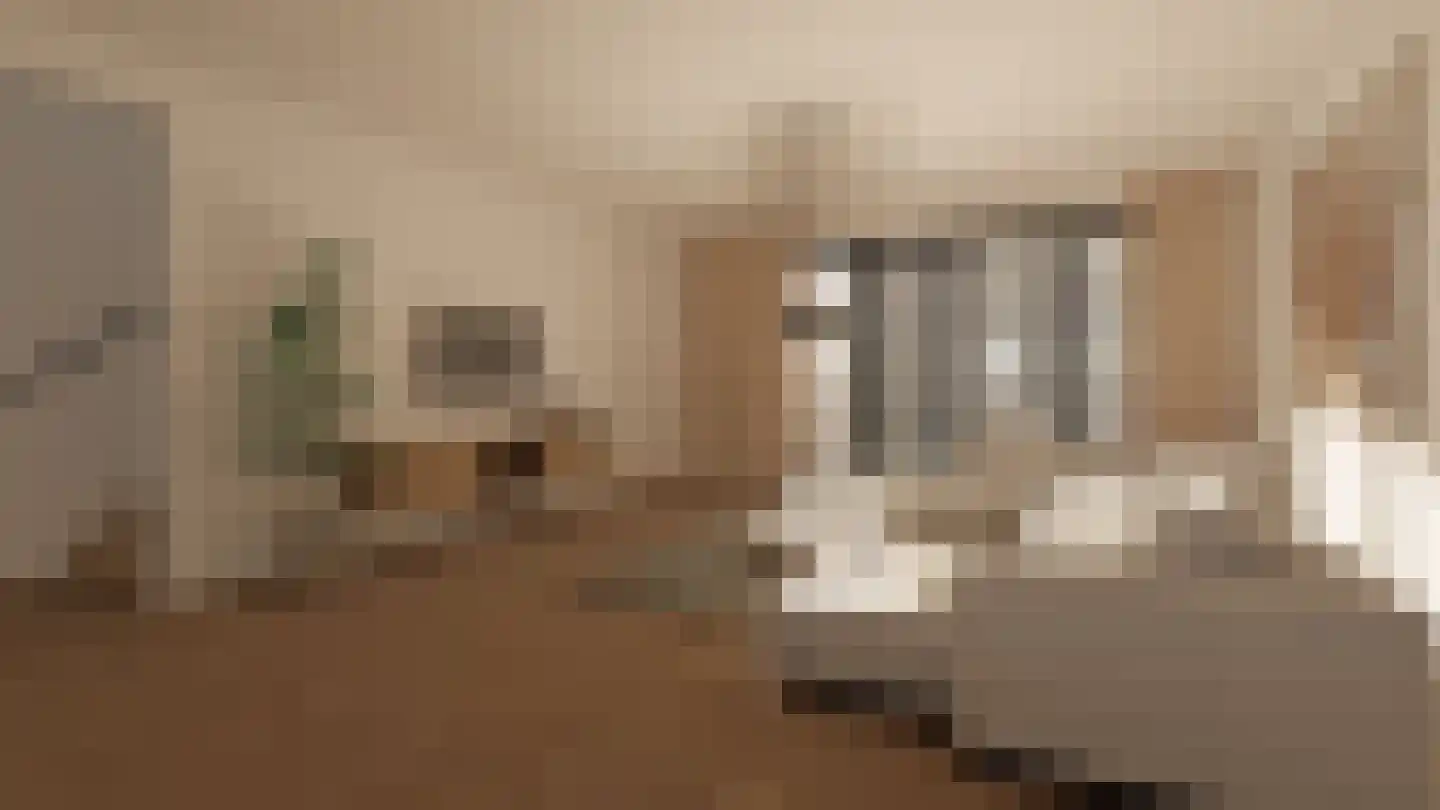 Klein Belgie 23 Vijfhuizen thumbnail 17