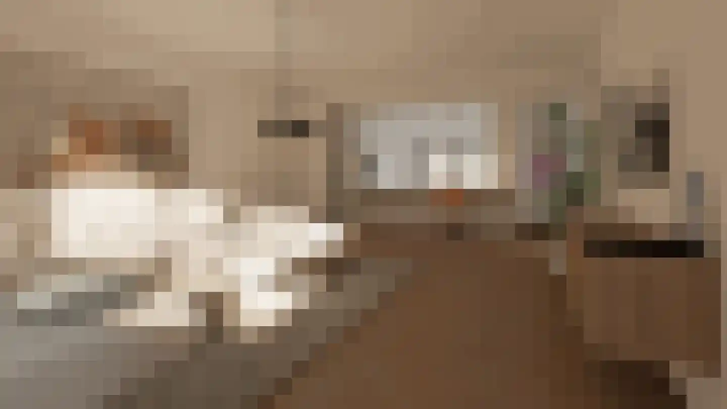 Klein Belgie 23 Vijfhuizen thumbnail 18