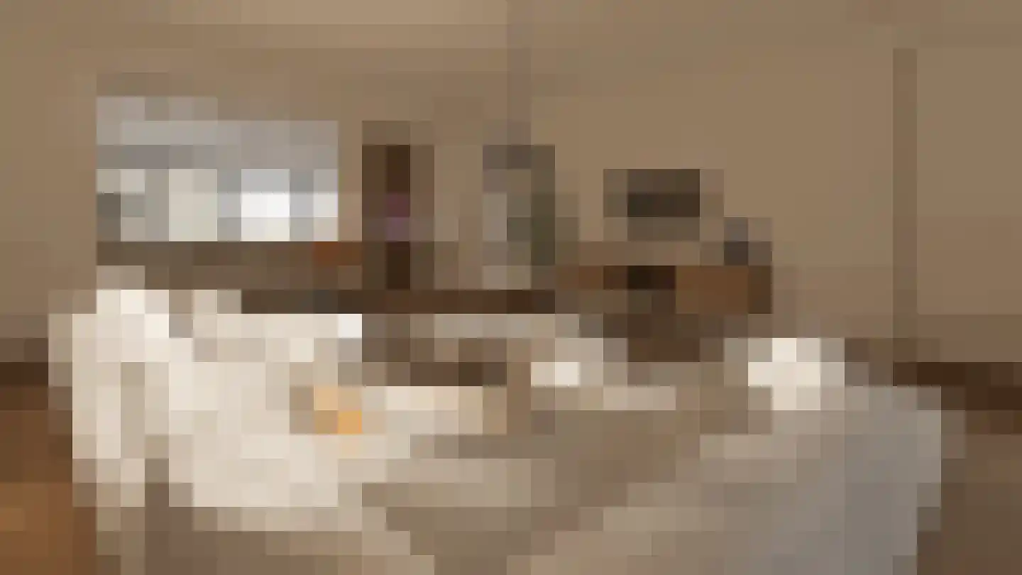 Klein Belgie 23 Vijfhuizen thumbnail 19