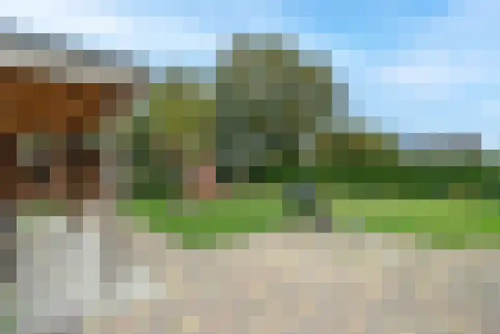 Klein Belgie 23 Vijfhuizen thumbnail 23