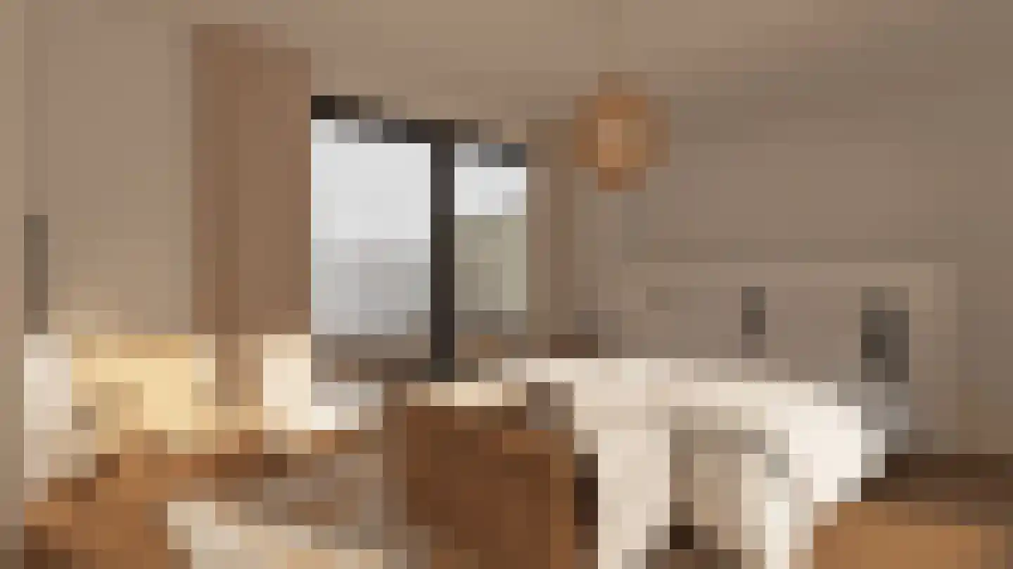 Klein Belgie 23 Vijfhuizen thumbnail 25
