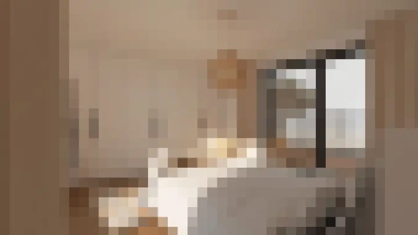 Klein Belgie 23 Vijfhuizen thumbnail 27