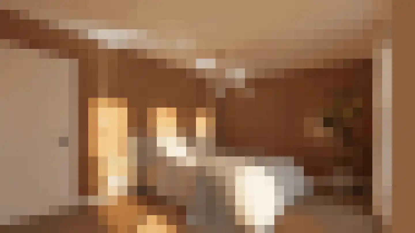 Klein Belgie 23 Vijfhuizen thumbnail 29